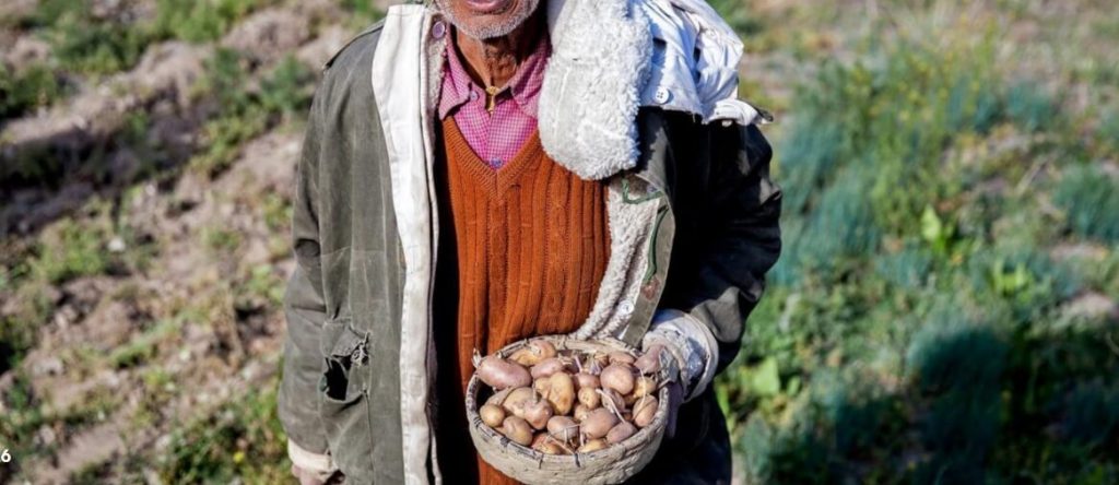 A new trade on the ancient Silk Route