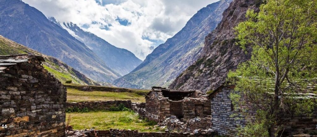 A new trade on the ancient Silk Route