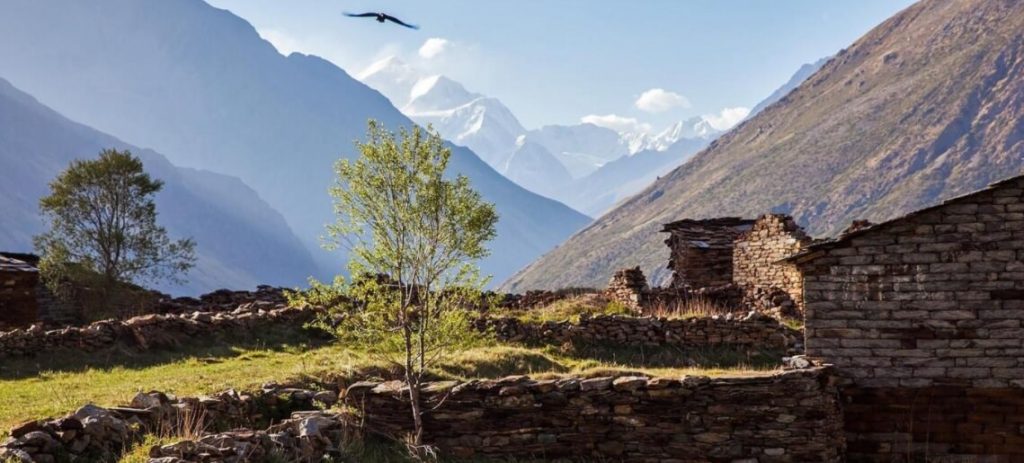 A new trade on the ancient Silk Route