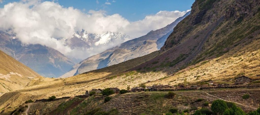 A new trade on the ancient Silk Route