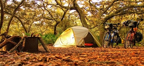 Iran Eco Tour