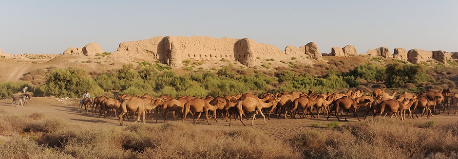 Iran Destination Reiseveranstalter