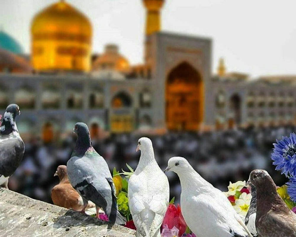 Mashhad Tourismus