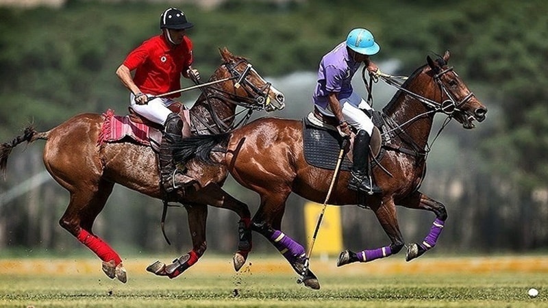 Chogan or Polo in Iran