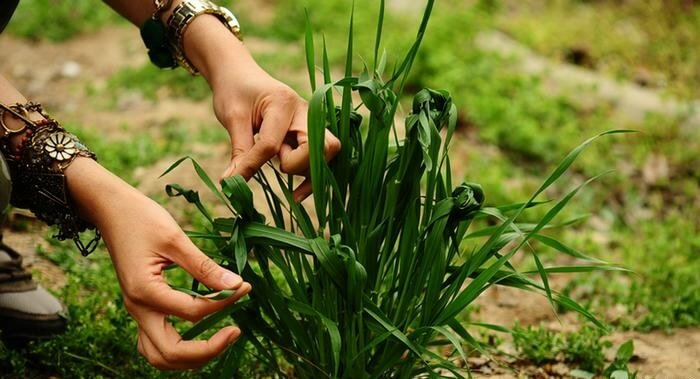 Iranians mark Nature's Day as Nowruz holidays end