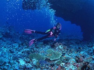 Diving underwater in Iran Diving and Skiing Tour