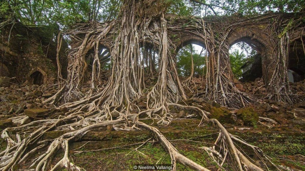 A ghost island in the middle of the Indian ocean