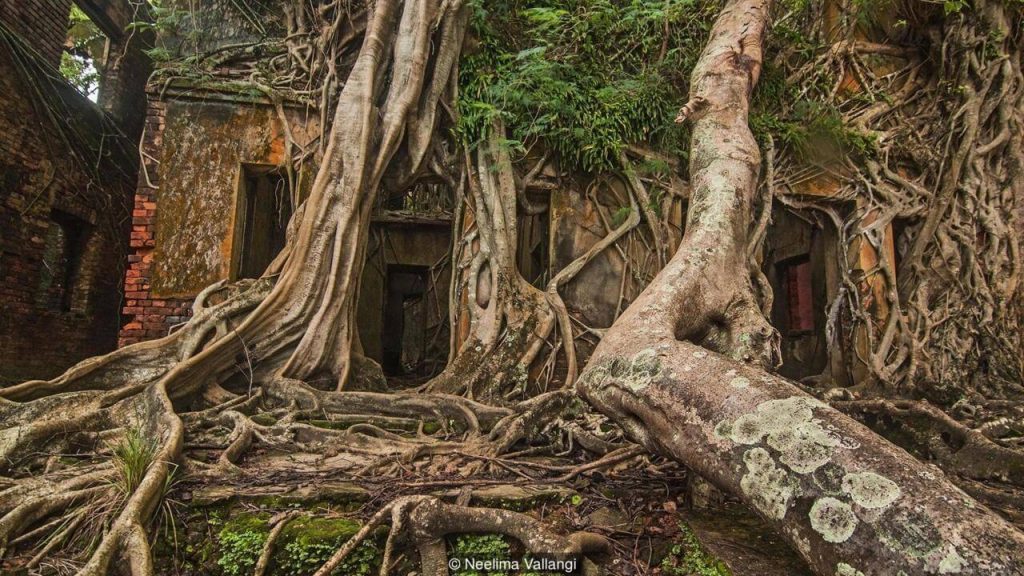 A ghost island in the middle of the Indian ocean